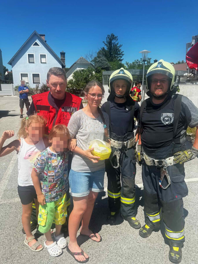Rettung eines Mauerseglers