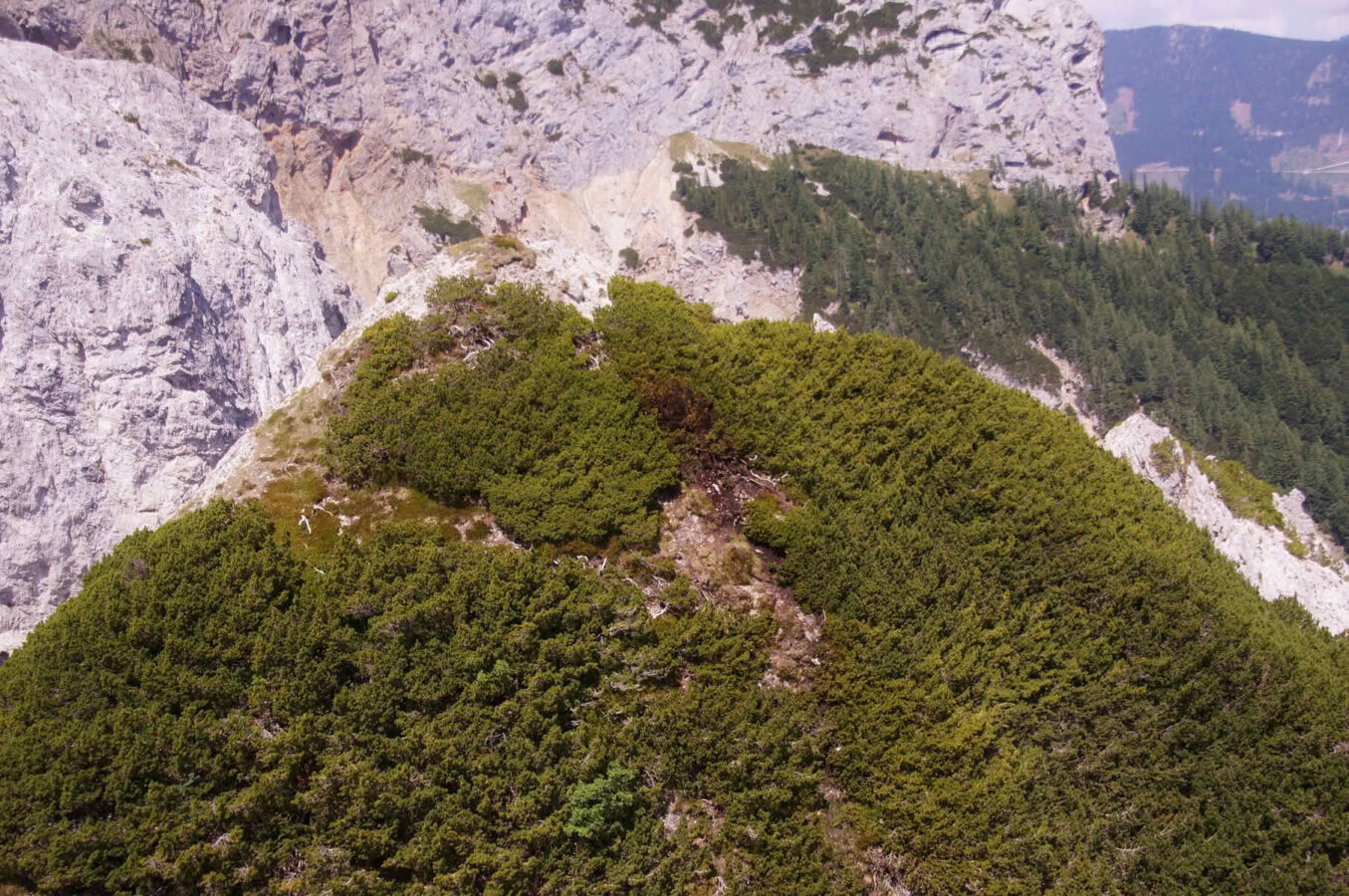 Waldbrand in der Gem. Eisenkappel-Vellach