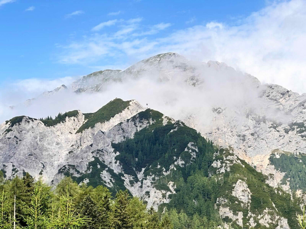 Waldbrand in der Gem. Eisenkappel-Vellach
