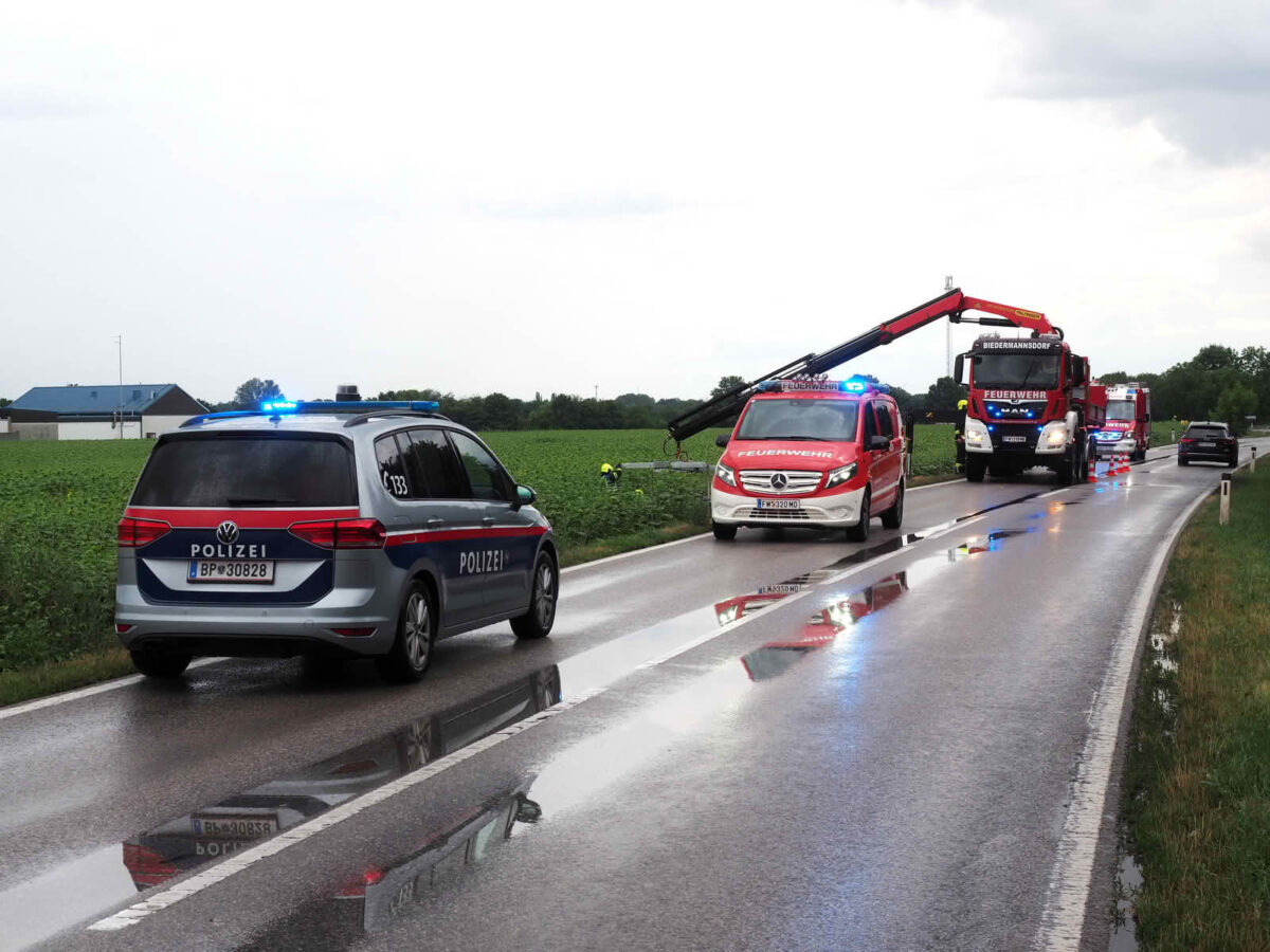 Probefahrt endet in Sonnenblumenfeld