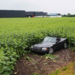 FF Biedermannsdorf: Probefahrt endet in Sonnenblumenfeld