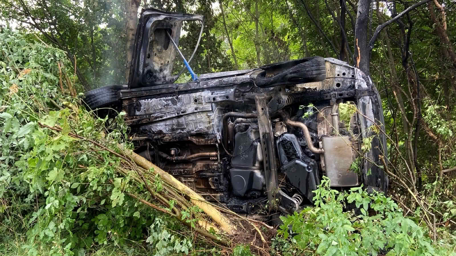 BF Wien: 1 Person kommt auf der Höhenstraße ums Leben
