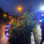 FF Kapfenberg-Diemlach: Baum über Straße