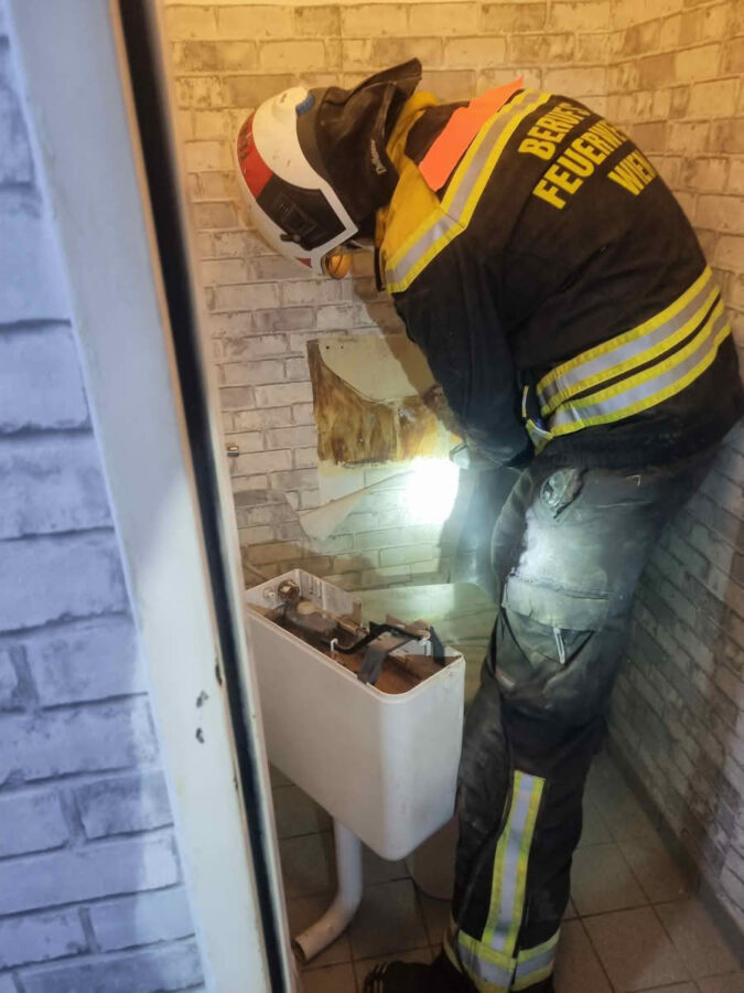 Eingeklemmte Katze in Installationsschacht