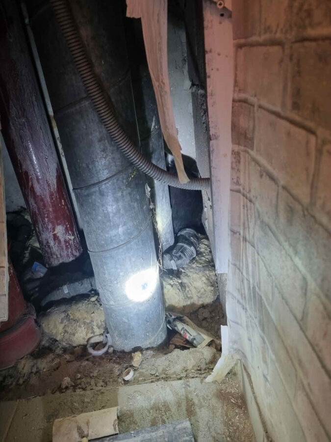 Eingeklemmte Katze in Installationsschacht