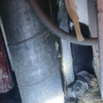 BF Wien: Eingeklemmte Katze aus einem Installationsschacht befreit.