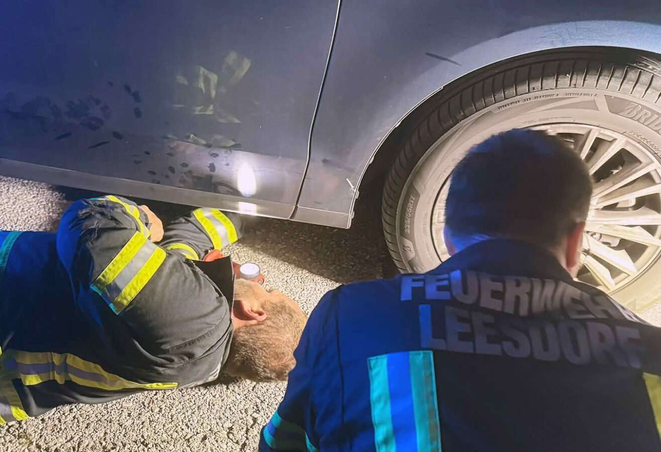 Feuerwehr befreit Babykatze aus Motorraum