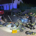 BFKDO Baden: Feuerwehr befreit Babykatze aus Motorraum