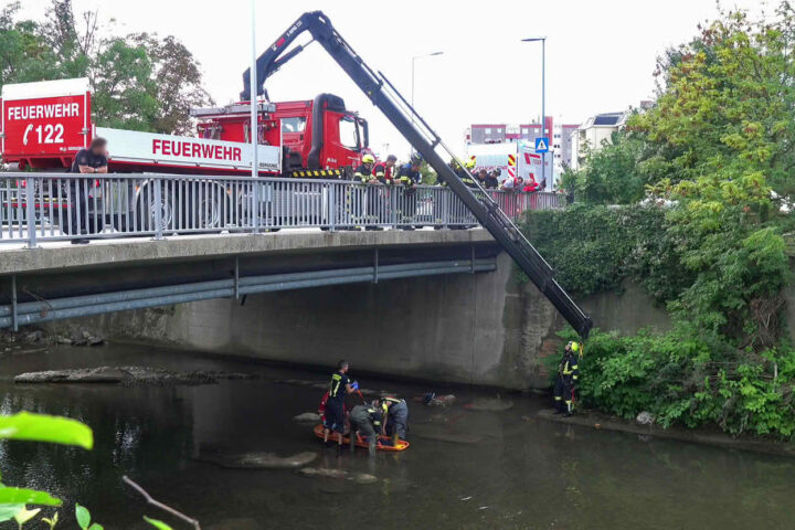 BFKDO Baden: Personenrettung aus Schwechat-Fluss in Baden