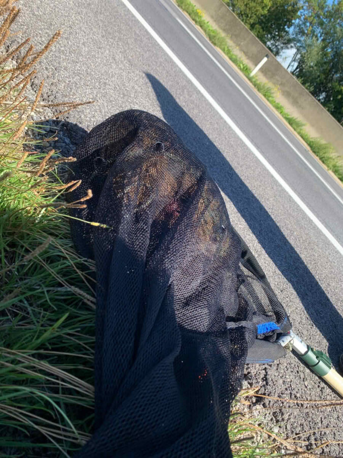 FF Parndorf: Uhu von Autobahn gerettet 5 Der Uhu im Netz