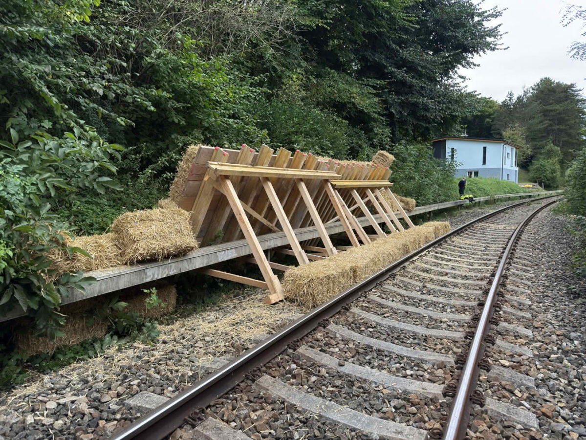 Schutzwall aus Pölz-Holz