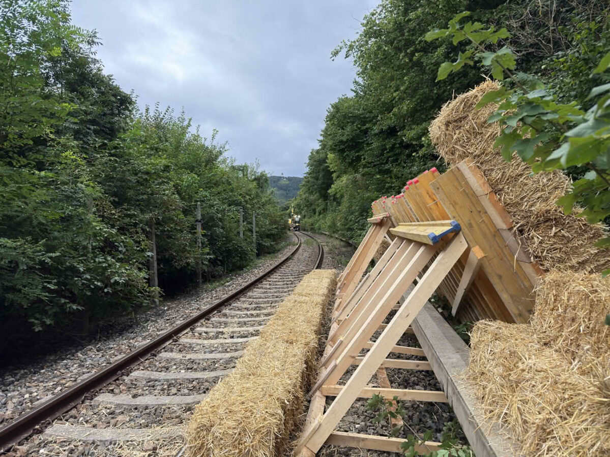 Schutzwall aus Pölz-Holz