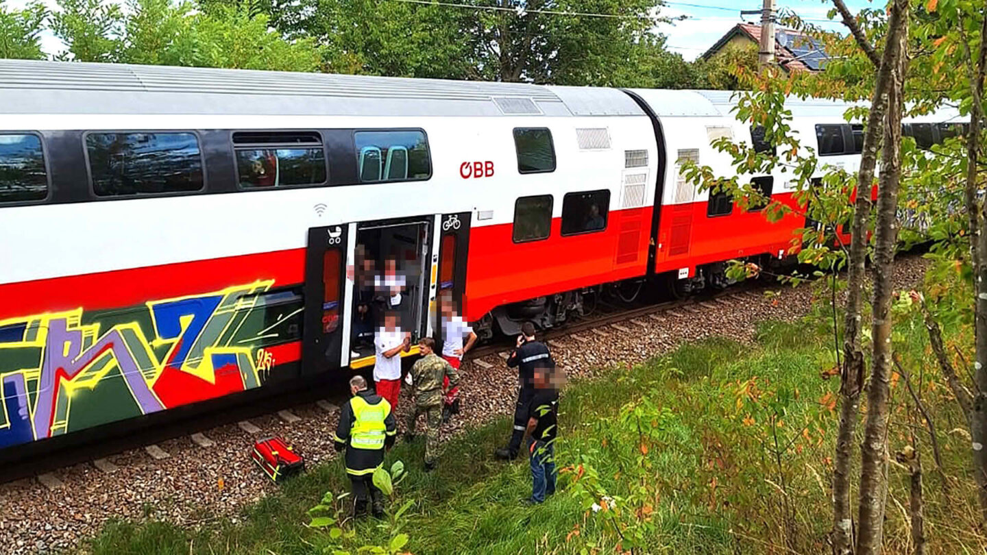 Der Zug auf freier Strecke