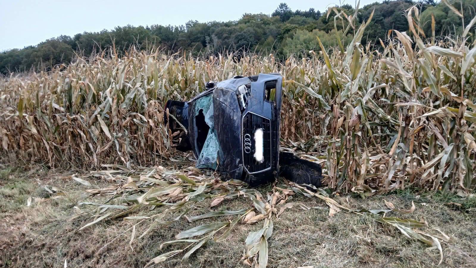 BFKDO Jennersdorf: Verkehrsunfall in Welten