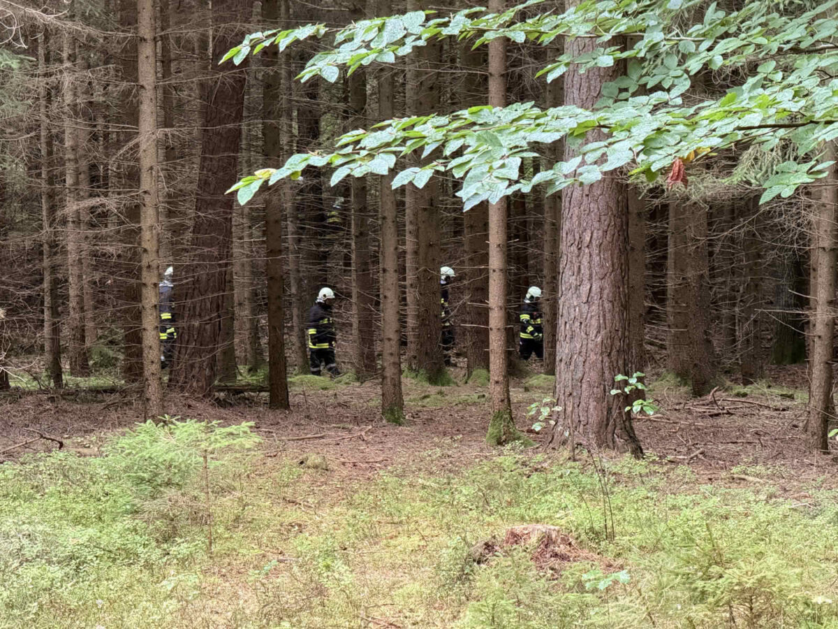 Internationale Einsatzübung