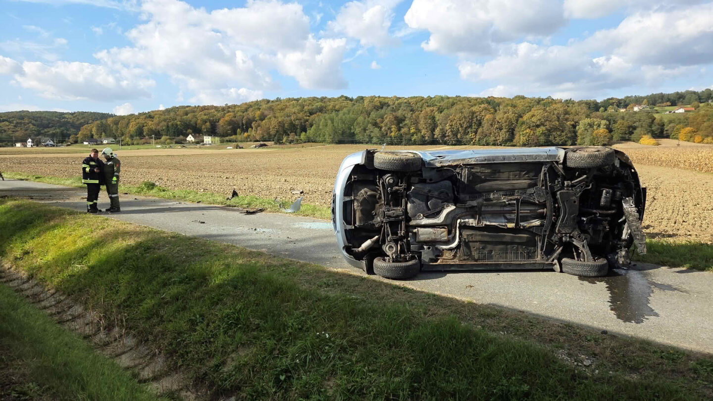 Kollision mit Hirsch