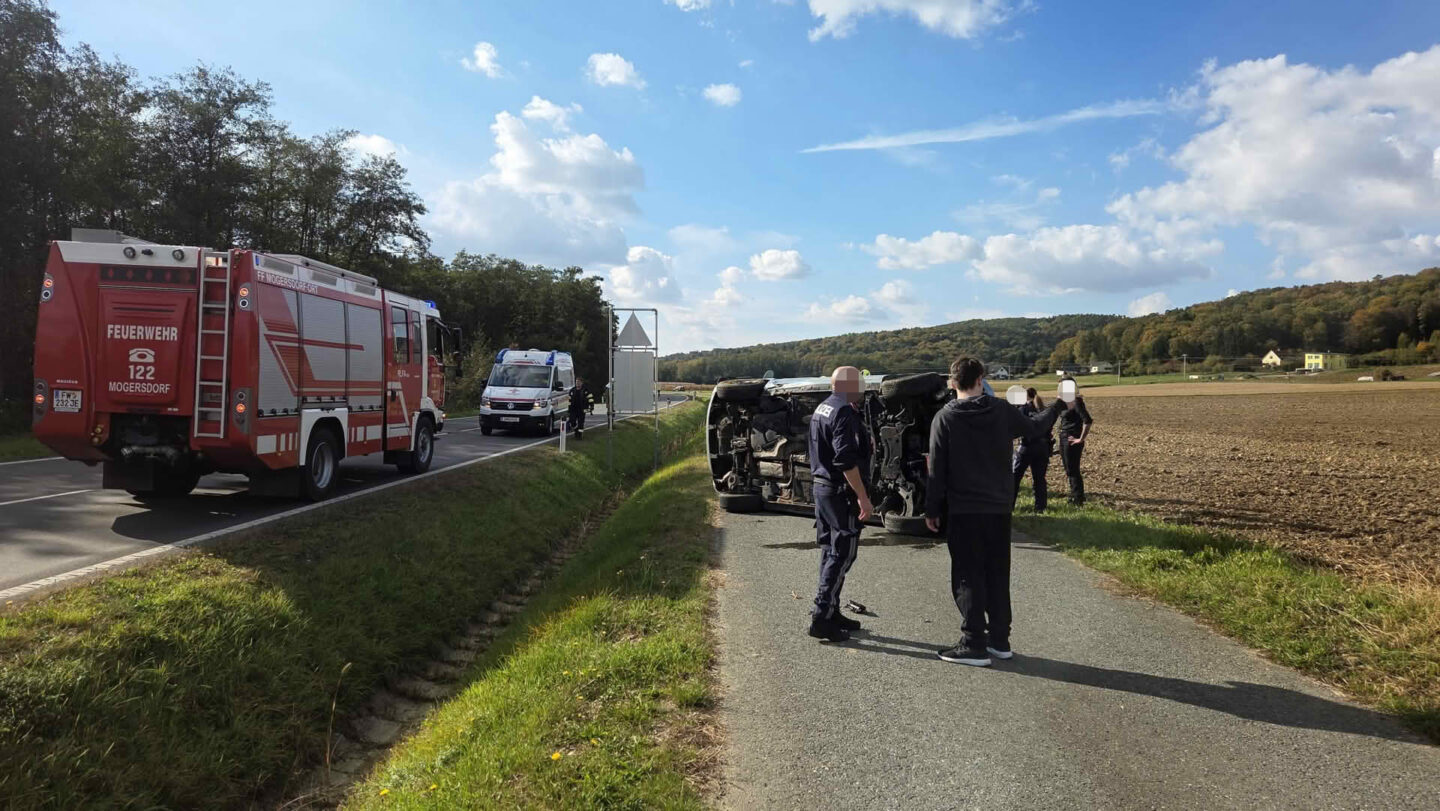 Kollision mit Hirsch