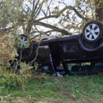 BFK Neusiedl am See: Schwerer Verkehrsunfall auf der L202 zwischen Deutsch Jahrndorf und Pama