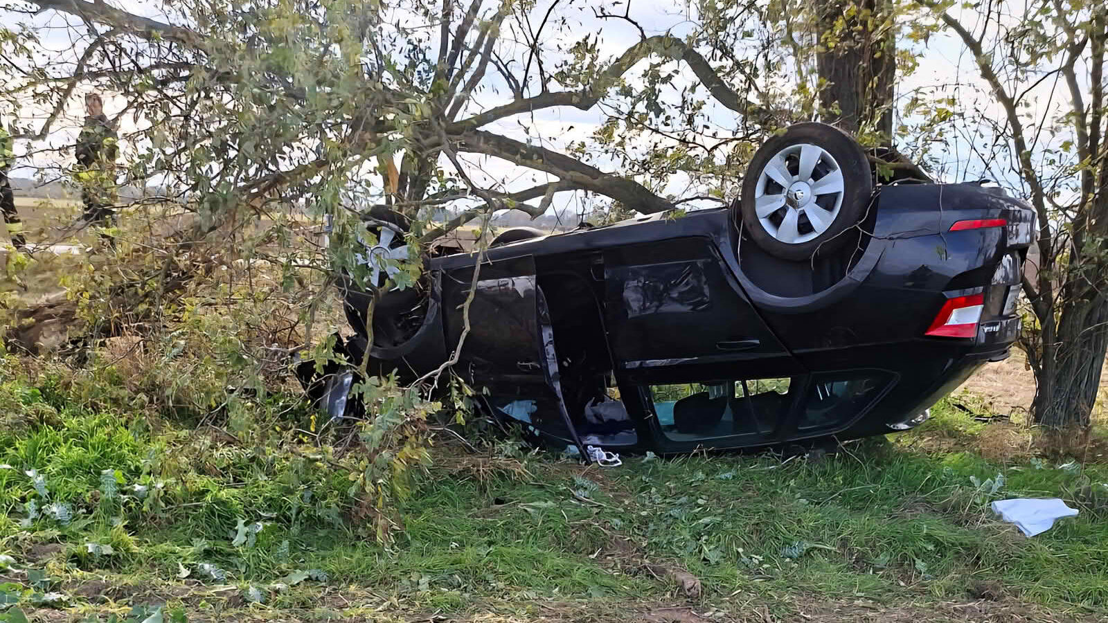 BFK Neusiedl am See: Schwerer Verkehrsunfall auf der L202 zwischen Deutsch Jahrndorf und Pama