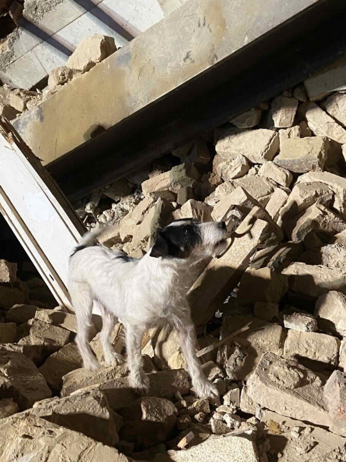 Einsturz eines in Umbau befindlichen Gebäudes