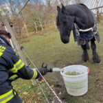 BFKDO Baden: Notwasserversorgung für Pferde eines Reitstalls
