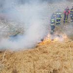 BFVGU A6: Waldbrandbekämpfung – Ausbildung
