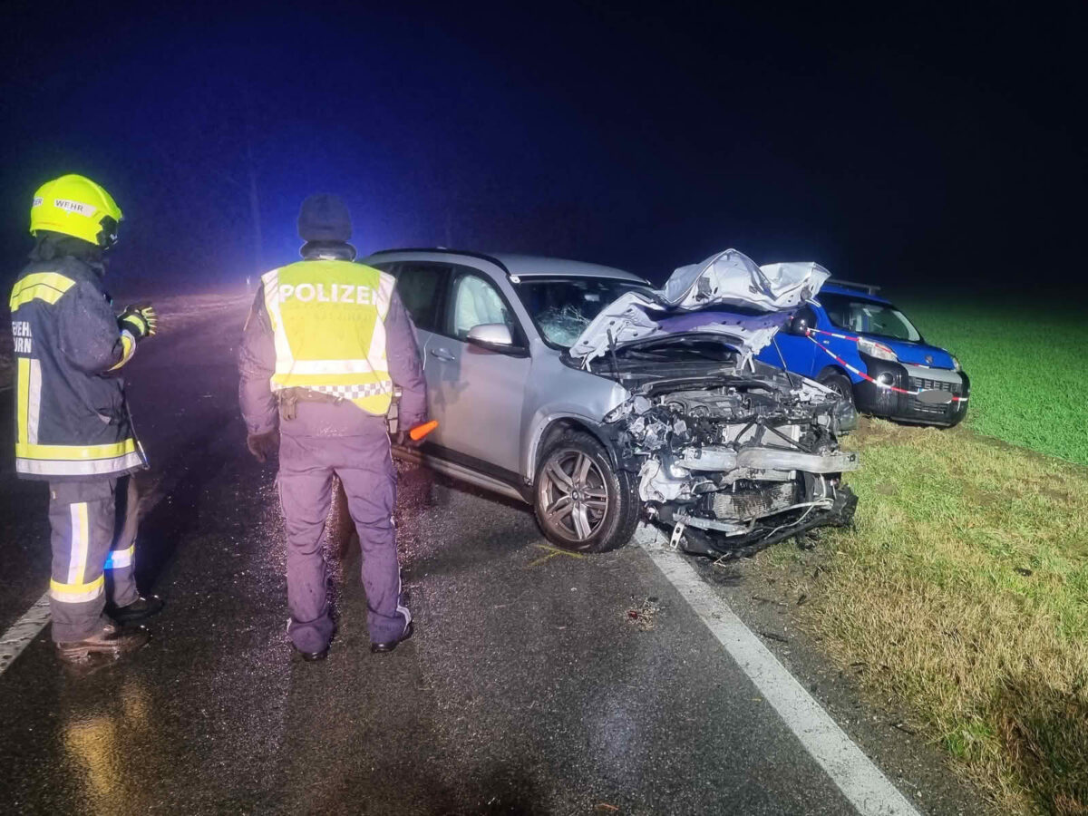 Verkehrsunfall mit Todesfolge auf L307