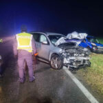 BFK Neusiedl am See: Verkehrsunfall mit Todesfolge auf L307