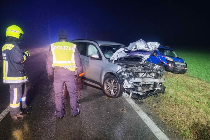 BFK Neusiedl am See: Verkehrsunfall mit Todesfolge auf L307