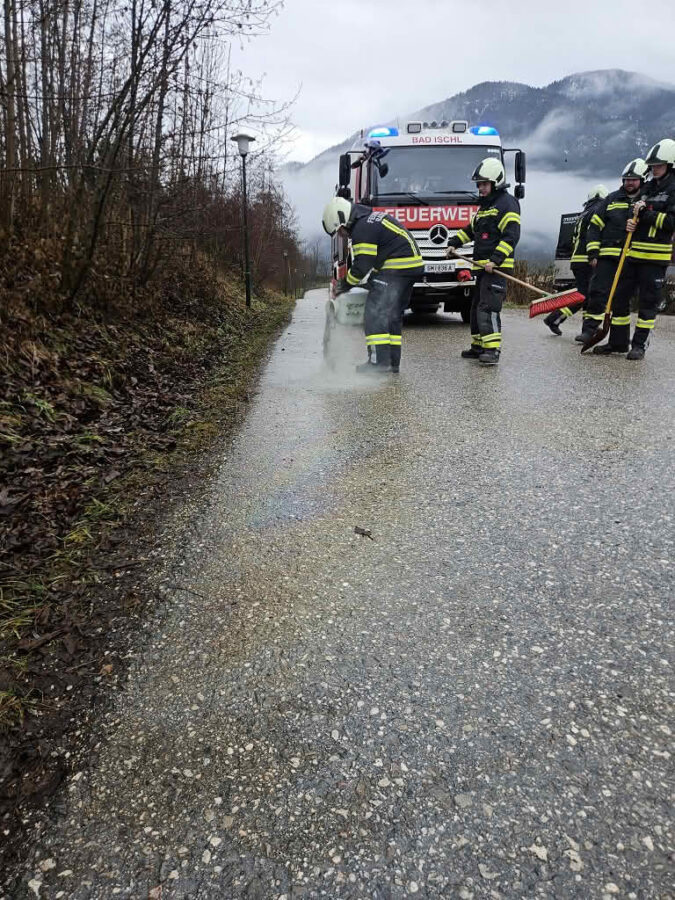 Dieselspur beschäftigt drei Einheiten