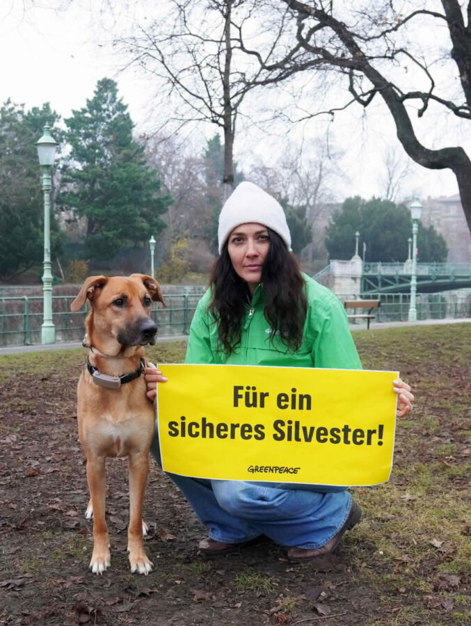 Warnung vor Gefahren durch Böller