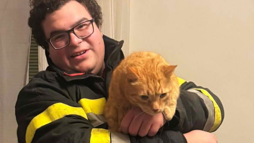 FF Kapfenberg-Diemlach: Katzenrettung am Christtag