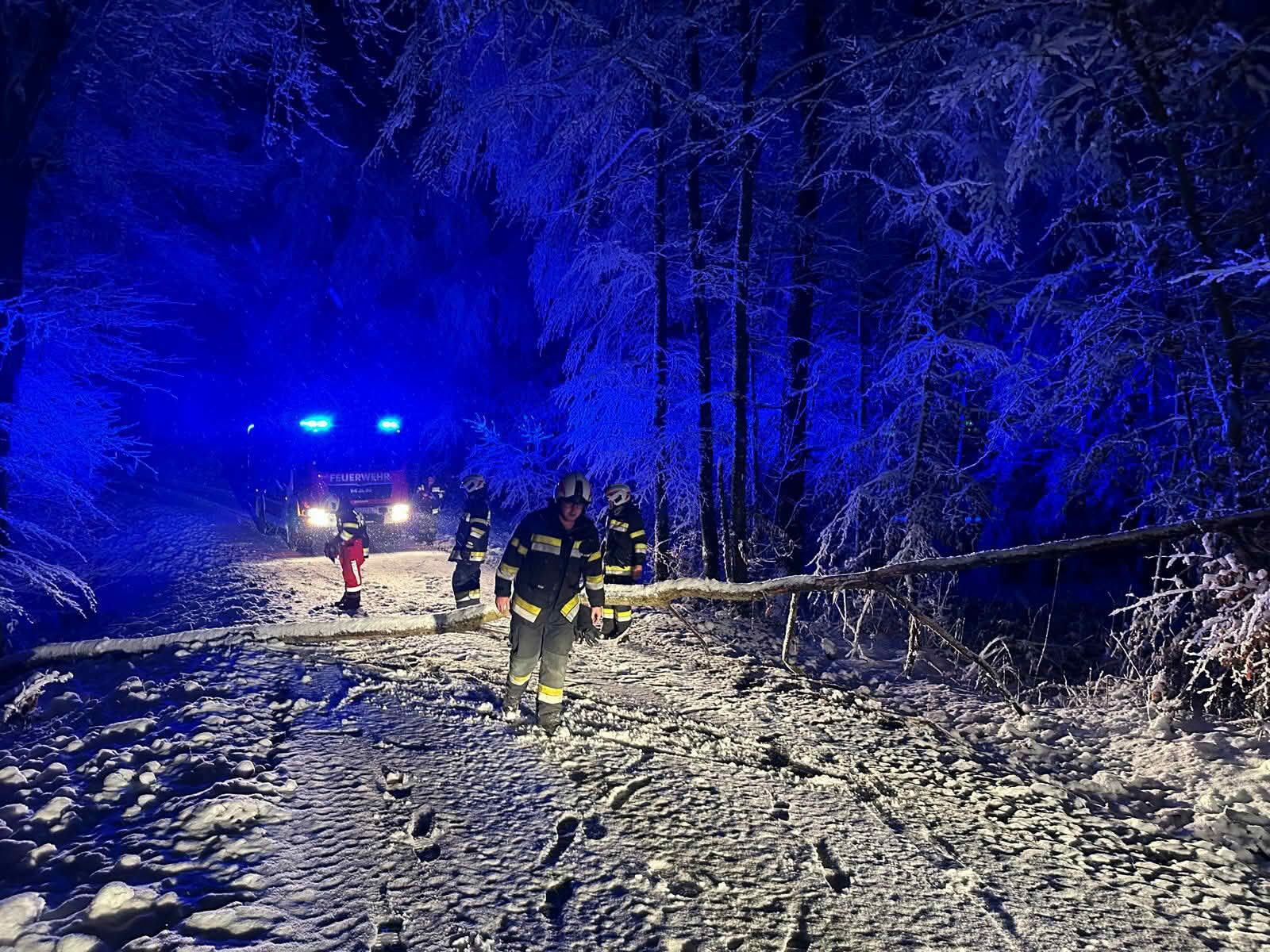 BFVDL: Schneeeinsätze – 350 Feuerwehrleute im Einsatz