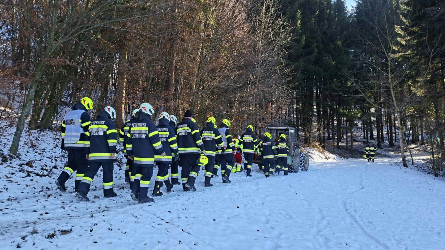 T11 Menschenrettung - Forstunfall