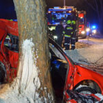 BFK Waidhofen/Thaya: PKW gegen Baum, 4 Verletzte in Heinreichs