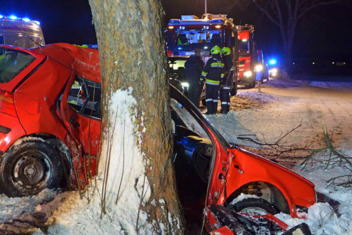 BFK Waidhofen/Thaya: PKW gegen Baum, 4 Verletzte in Heinreichs