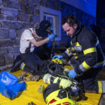 FF Krems: Abendlicher Brandeinsatz fordert mehrere Feuerwachen