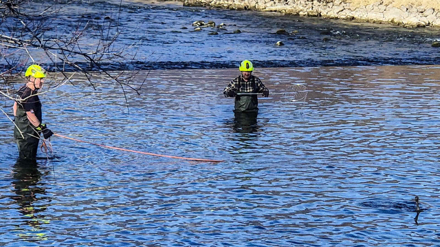 Tierrettung aus dem Traunfluss