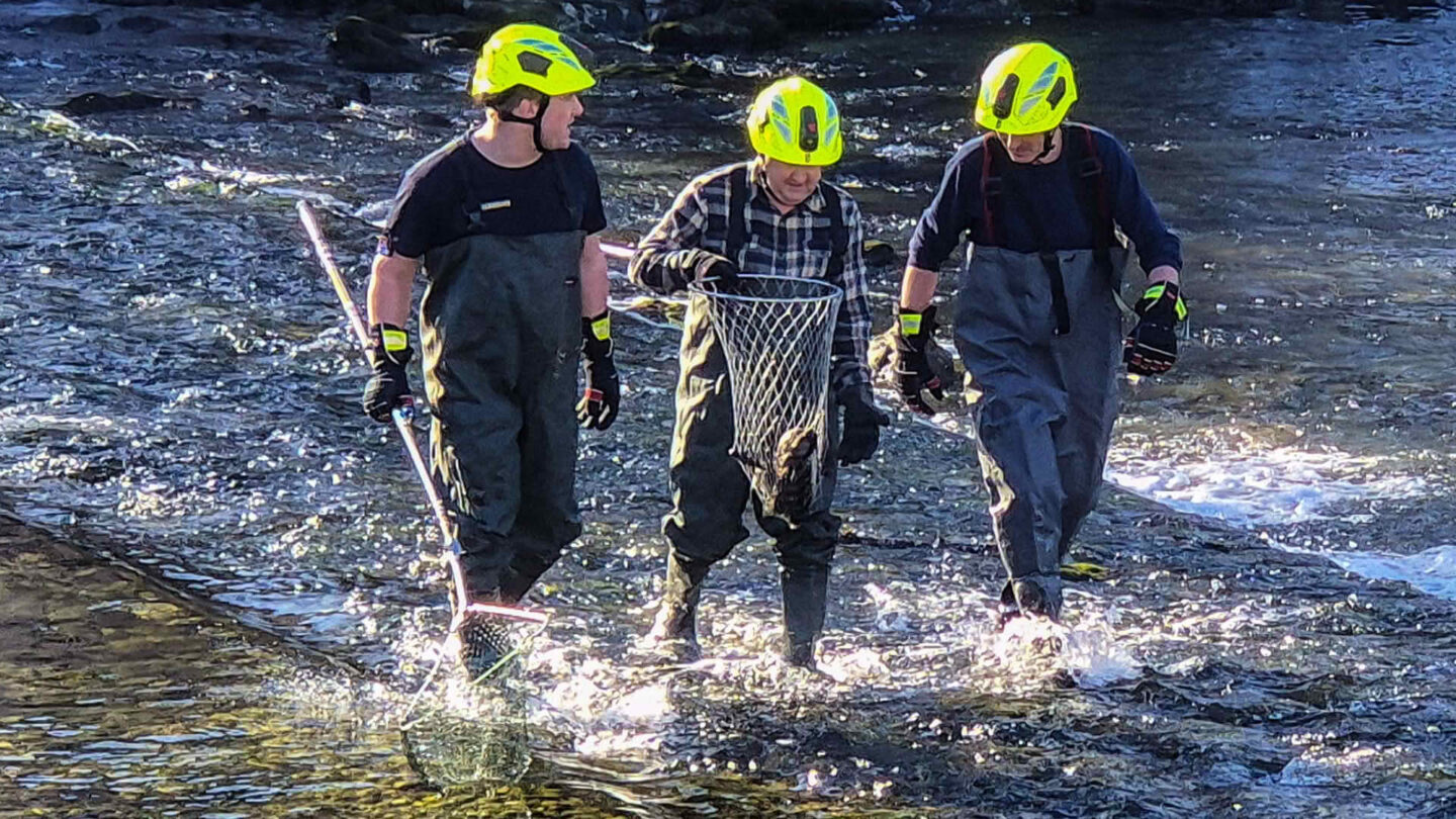 Tierrettung aus dem Traunfluss
