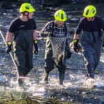 FF Bad Goisern: Tierrettung aus dem Traunfluss