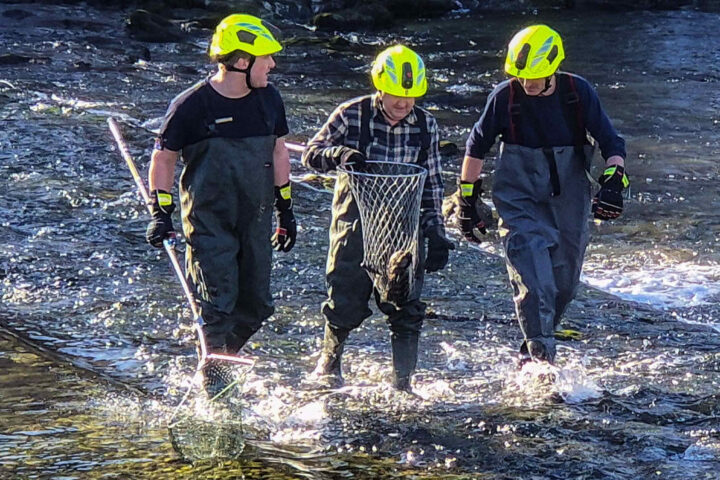 FF Bad Goisern: Tierrettung aus dem Traunfluss