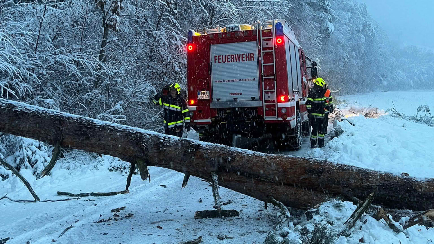 Einsatzserie durch starken Schneefall und Schneebruch