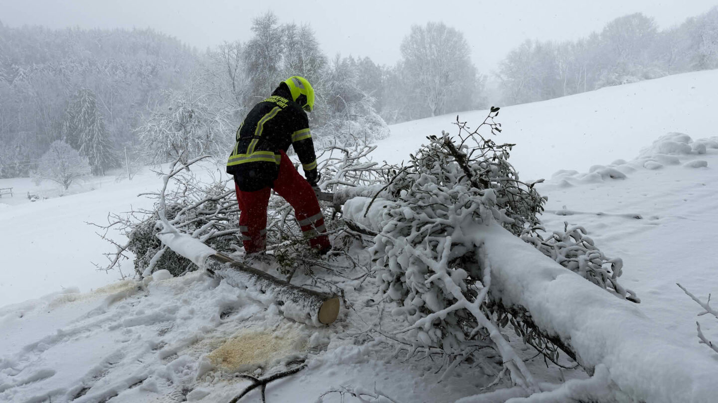 Zahlreiche Einsätze durch massive Schneefälle