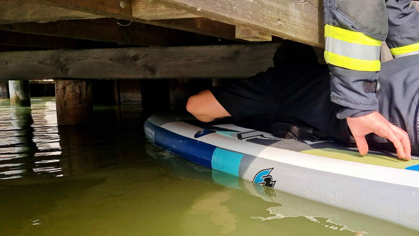 Nicht alltägliche Katzenrettung