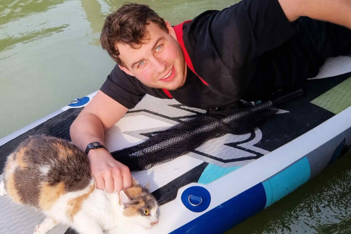 FF Neusiedl am See: Nicht alltägliche Katzenrettung