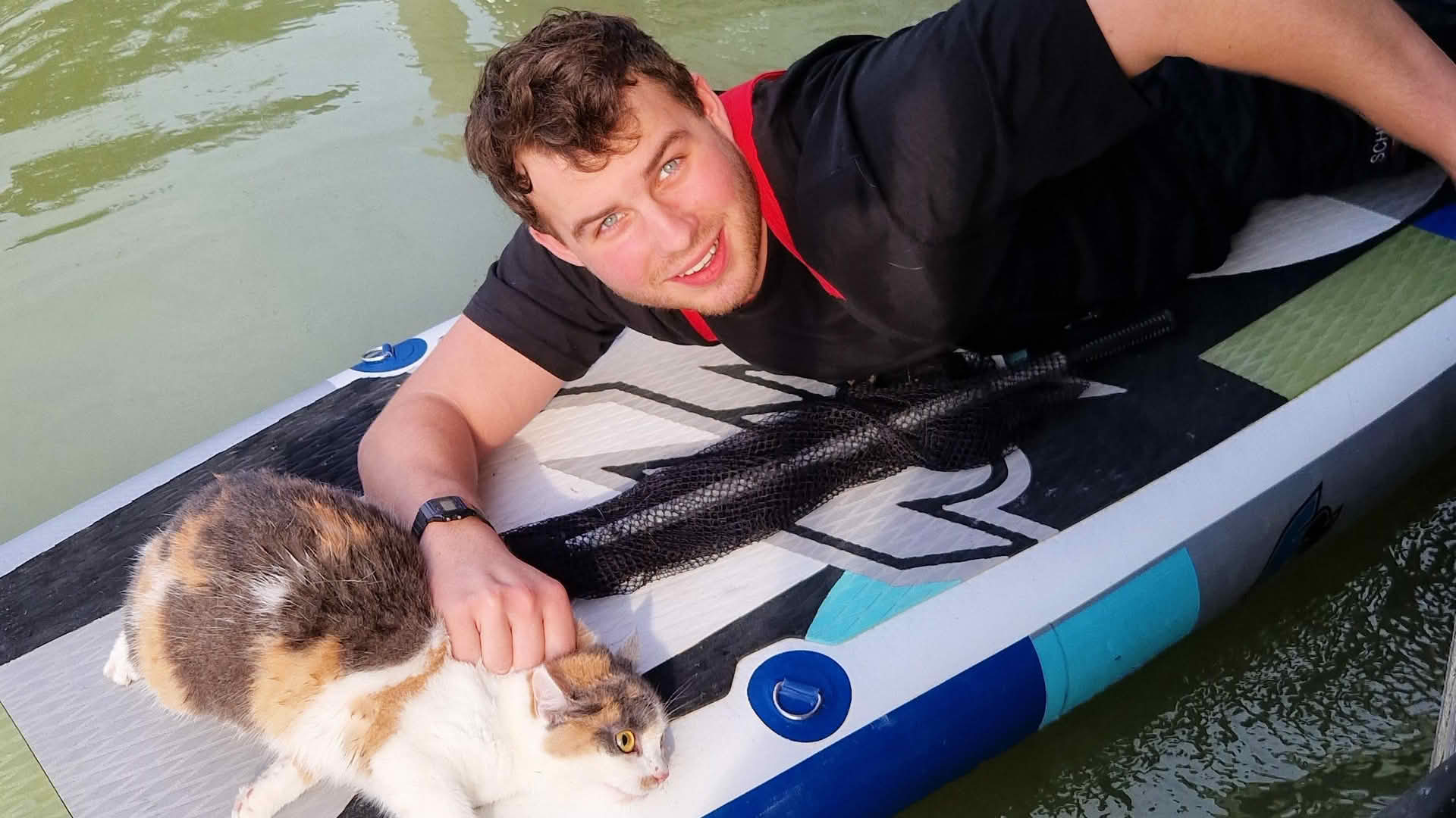 FF Neusiedl am See: Nicht alltägliche Katzenrettung