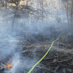 FF Strasshof an der Nordbahn: Ausgedehnter Waldbrand