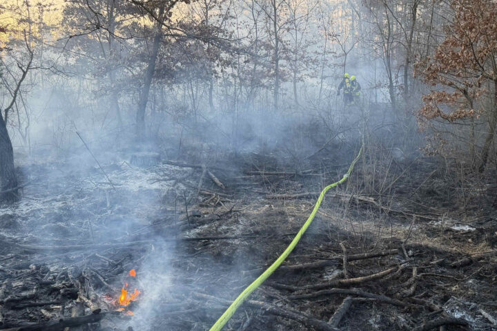 FF Strasshof an der Nordbahn: Ausgedehnter Waldbrand