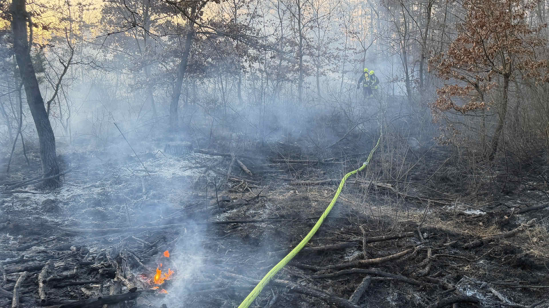 FF Strasshof an der Nordbahn: Ausgedehnter Waldbrand