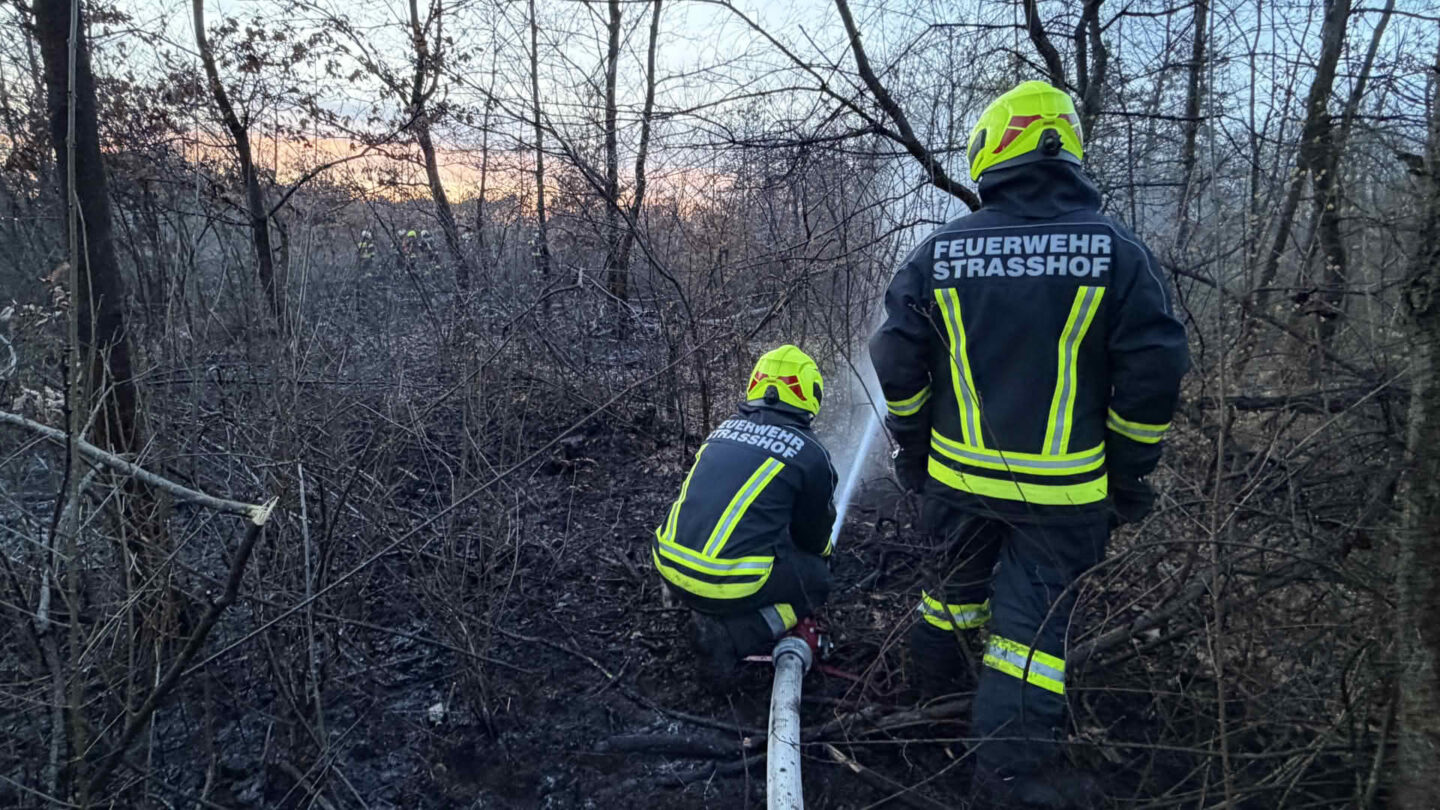 Ausgedehnter Waldbrand - FF Strasshof an der Nordbahn